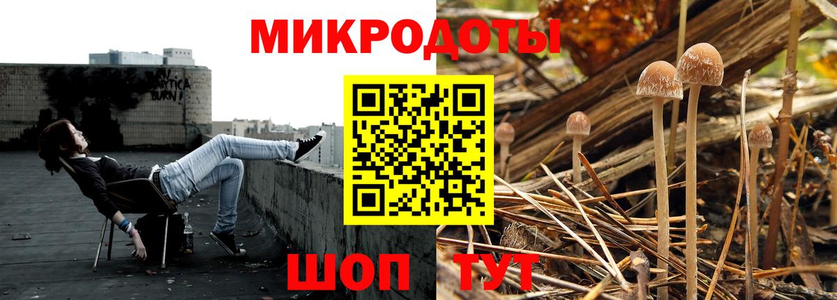 Псилоцибиновые грибы MAGIC MUSHROOMS Татарск